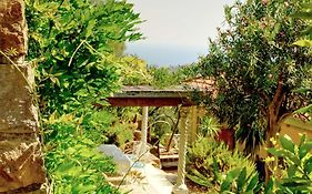Villa D'Artisti